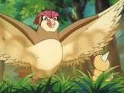 EP004 Pidgeotto contra Weedle.png