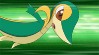 Snivy usando placaje.