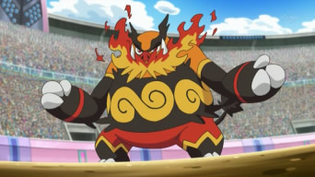 Imagen de Emboar