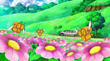 Combee