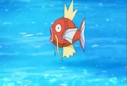 Magikarp