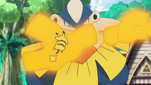 Hariyama de Kaudan usando empujón.