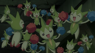 Imagen de Roselia