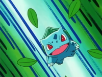 Bulbasaur de Ash usando Hojas Navaja/Hoja Afilada.
