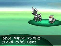 Aparición de 2 Pokémon salvajes en Pokémon Negro, Blanco, Negro 2 y Blanco 2