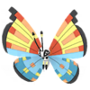 Vivillon océano