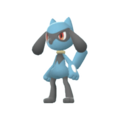 Imagen de Riolu en Pokémon Diamante Brillante y Pokémon Perla Reluciente