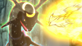 Capi vs. Rayquaza Negro.
