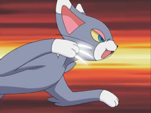 Glameow de Zoey/Zoe usando Garras Furiosas/Golpes Furia