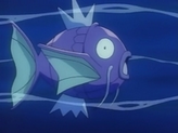 Magikarp