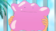 EP989 Ditto.png