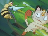 Beedrill