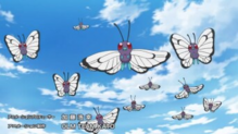 Butterfree