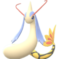 Imagen de Milotic variocolor macho en Pokémon Diamante Brillante y Pokémon Perla Reluciente