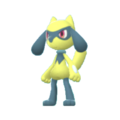 Imagen de Riolu en Pokémon Diamante Brillante y Pokémon Perla Reluciente