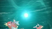 Magikarp