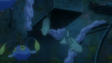 Chinchou