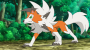 EP985 Lycanroc de Ash.png