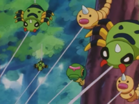 Spinarak usando disparo demora.