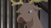 EP1098 Stantler.png