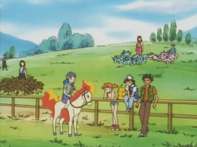 Safari Land - WikiDex, la enciclopedia Pokémon
