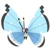 Vivillon tundra