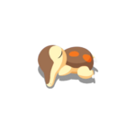 Despatarrada variocolor