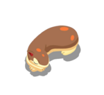 Pata-almohada variocolor