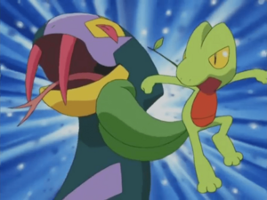 Treecko usando destructor.