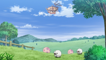 Wooloo
