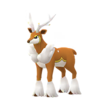 Sawsbuck invierno