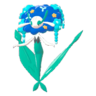 Florges azul