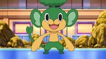 Pansage