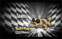 Sandile en el segmento "¿Quién es ese Pokémon?/¿Cuál es este Pokémon?"