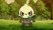 EP851 Pancham de Serena.png