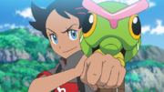 EP1135 Caterpie junto a Goh.png