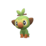 Grookey