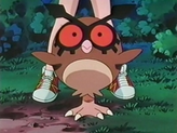Hoothoot