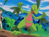 Grovyle