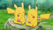 EP1124 Pikachu de Goh y de Ash.png