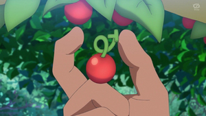 Baya Zreza en la serie Horizontes Pokémon.