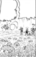 Shaymin en MP11