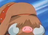 Imagen de Piloswine
