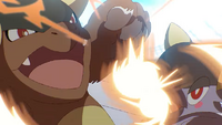 Mega-Kangaskhan de Elián/Elamis usando puño incremento en el TOON18.