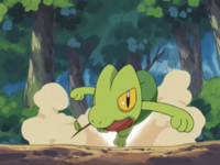 Treecko usando ataque rápido.