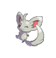 Minccino