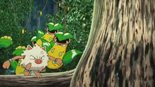 Imagen de Primeape