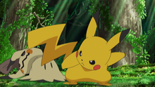 Mimikyu protegiéndose del primer ataque de su oponente gracias a disfraz.