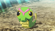 P20 Caterpie de Ash.png