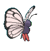 Imagen posterior de Butterfree variocolor macho en Pokémon X, Pokémon Y, Pokémon Rubí Omega, Pokémon Zafiro Alfa, Pokémon Sol, Pokémon Luna, Pokémon Ultrasol y Pokémon Ultraluna